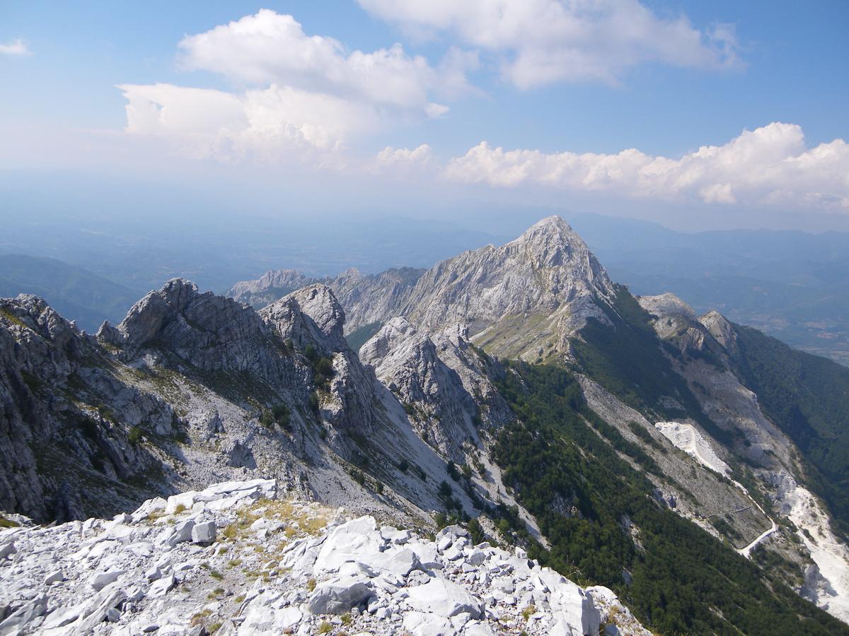 Campeggio Boscoverde ตอร์เร เดล ลาโกปุชชีนี ภายนอก รูปภาพ
