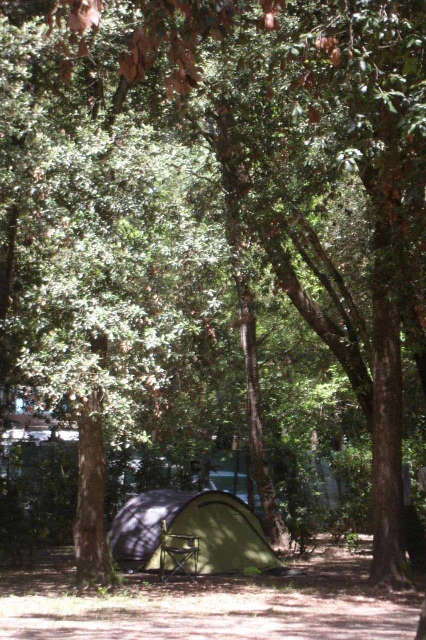 Campeggio Boscoverde ตอร์เร เดล ลาโกปุชชีนี ภายนอก รูปภาพ